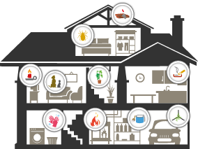 The various sources of pollution in the home